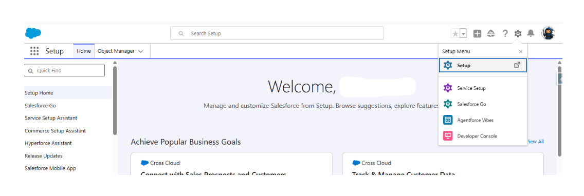 Setup icon for Agentforce Vibes